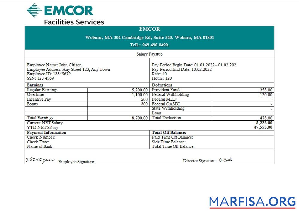 Blank USA engineering company employee earning sample